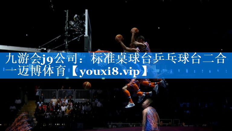 九游会j9公司：标准桌球台乒乓球台二合一迈博体育