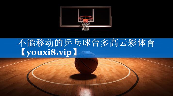 不能移动的乒乓球台多高云彩体育