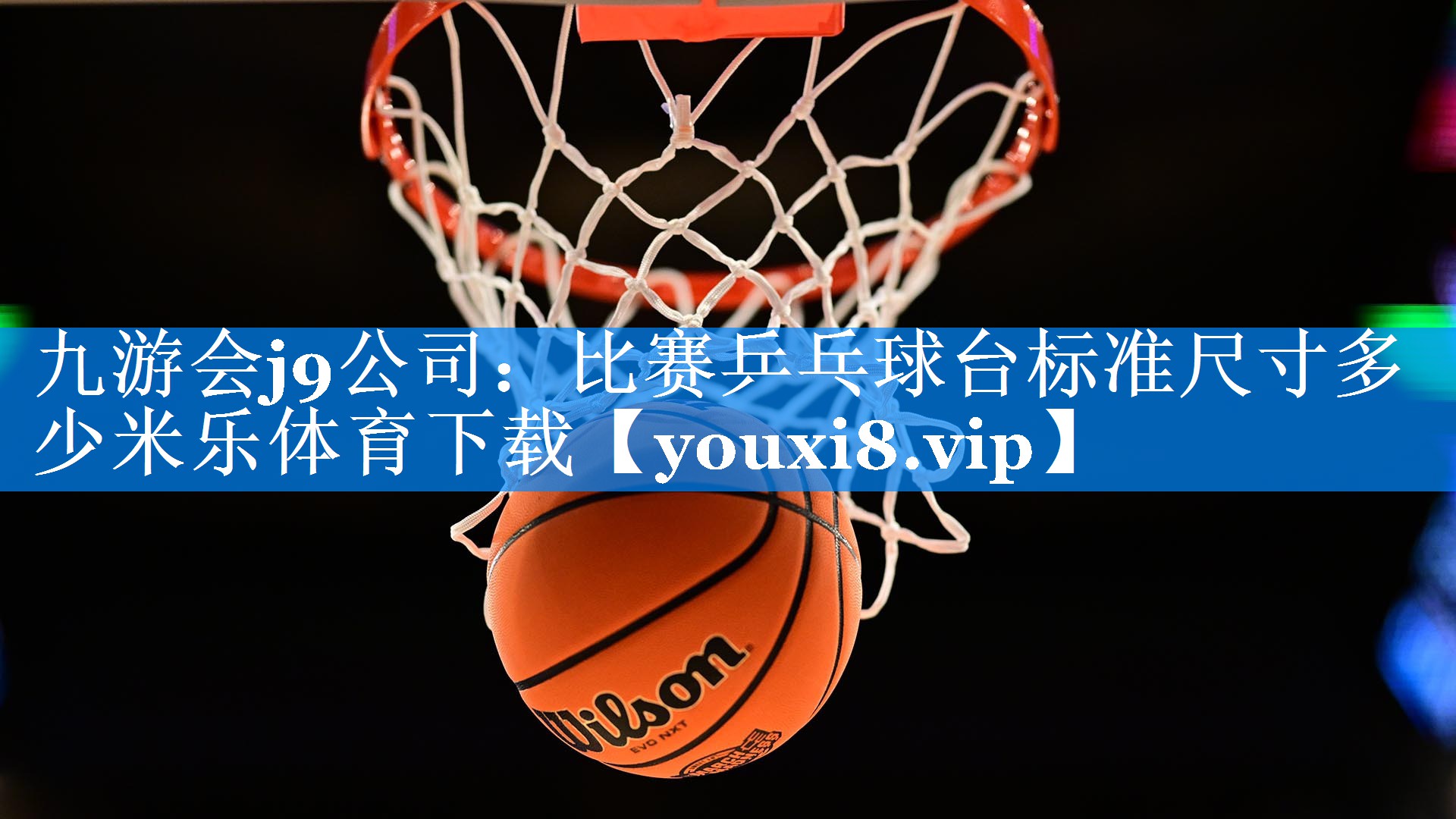 九游会j9公司：比赛乒乓球台标准尺寸多少米乐体育下载