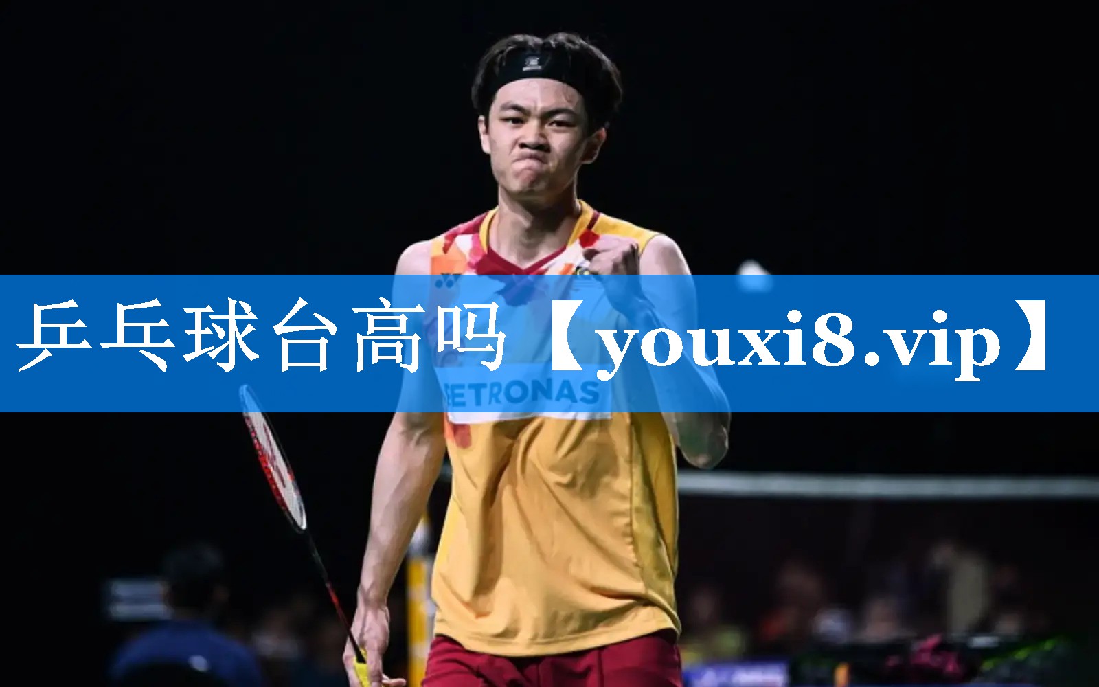 乒乓球台高吗