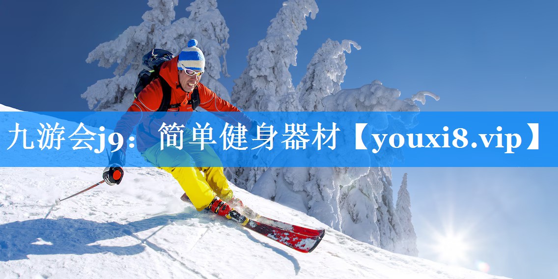 简单健身器材