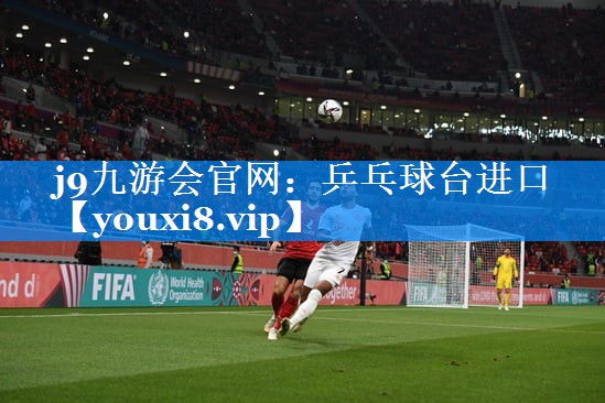 乒乓球台进口