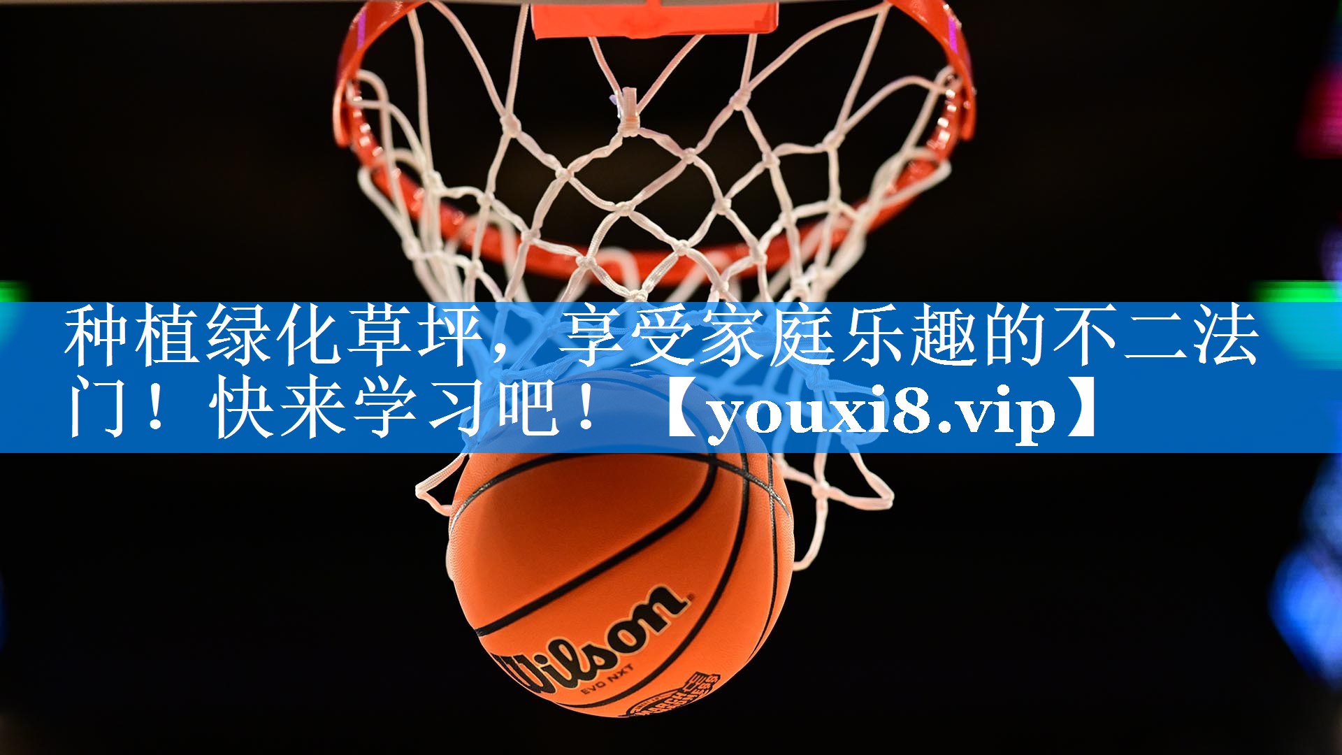种植绿化草坪，享受家庭乐趣的不二法门！快来学习吧！